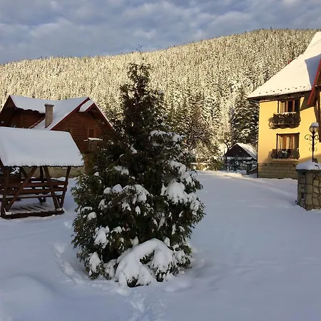 Zatin Guest house Yaremche